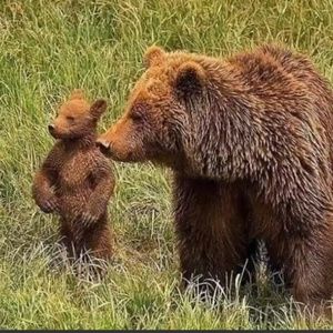 Meet your Posher, Larry